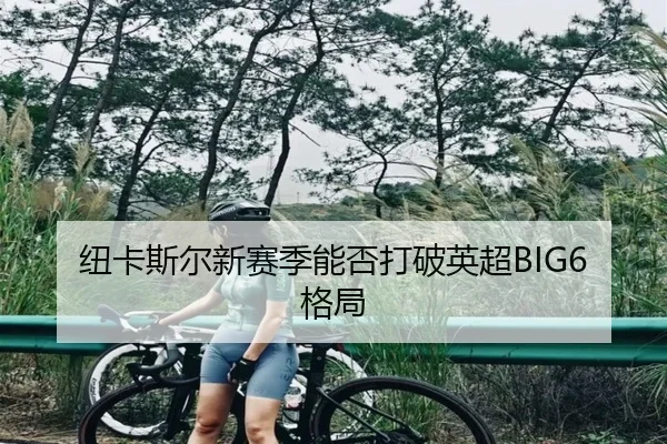 纽卡斯尔新赛季能否打破英超BIG6格局